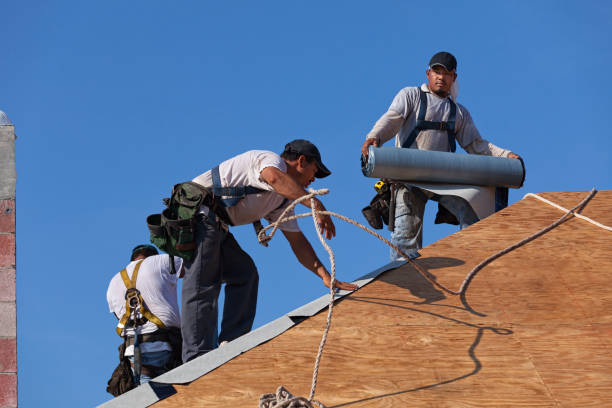 Best Metal Roofing Contractor  in Salem Heights, OH