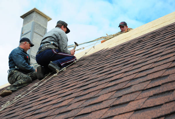 Best Local Roofing Companies  in Salem Heights, OH